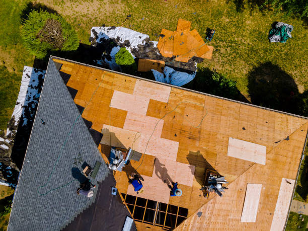 Best Roof Maintenance Services  in Poplar Bluff, MO